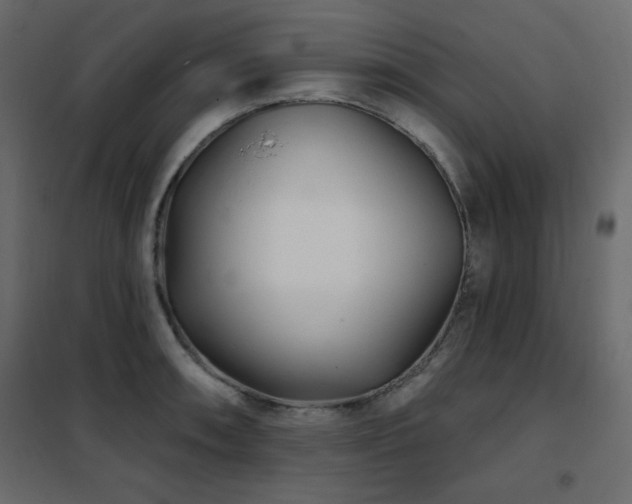 X0000102541090200808081515
