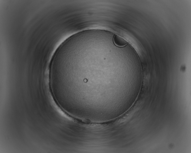 X0000102541092200808081515
