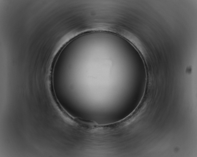 X0000102541093200808081515
