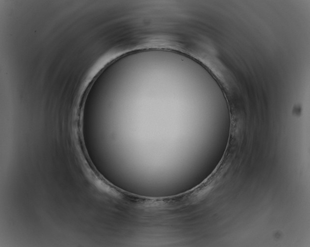 X0000102541094200808081515