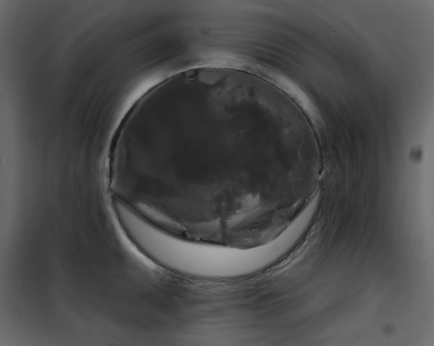 X0000102541095200808081515