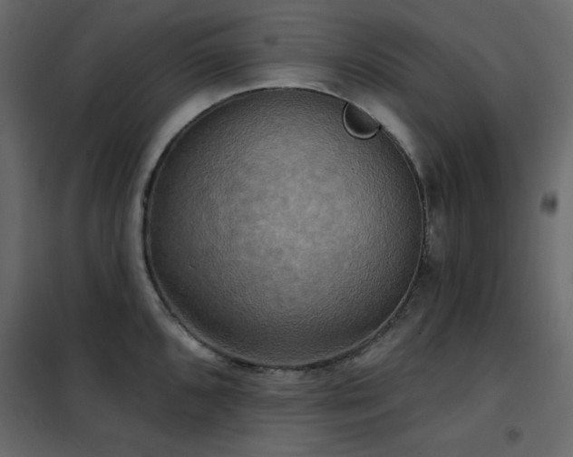 X0000102541096200808081515