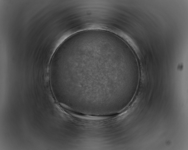 X0000102541097200808081515