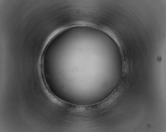 X0000102541098200808081515