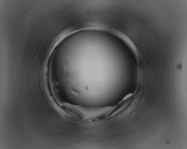 X0000102541099200808081515