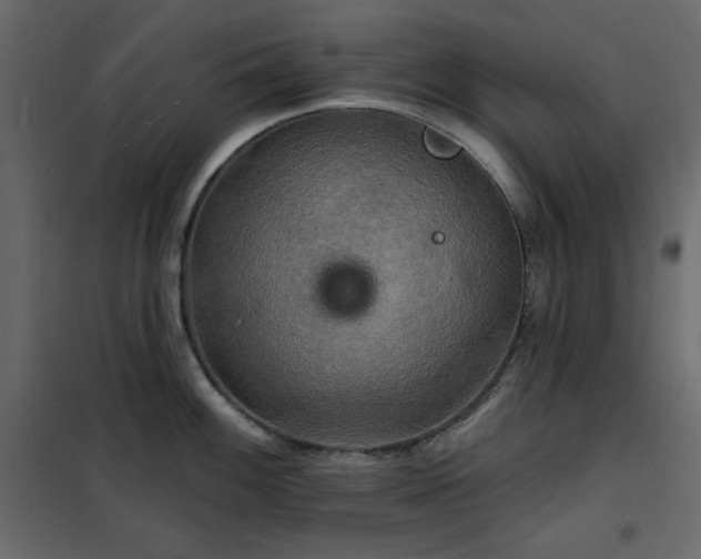 X0000102541100200808081515