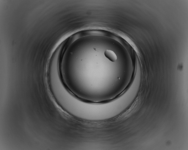 X0000102541101200808081515