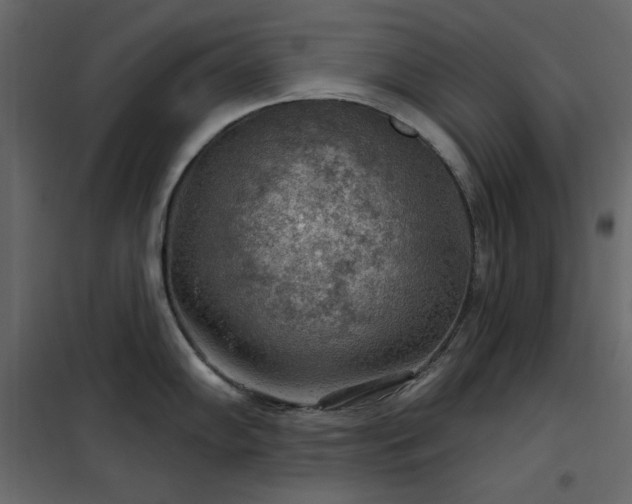 X0000102541102200808081515