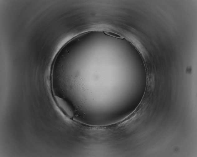 X0000102541103200808081515