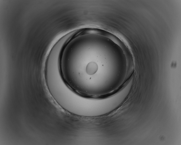 X0000102541104200808081515