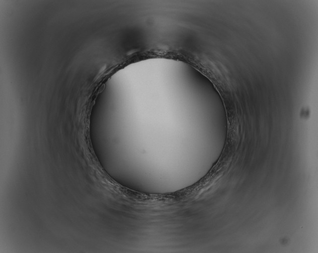 X0000102541105200808081514