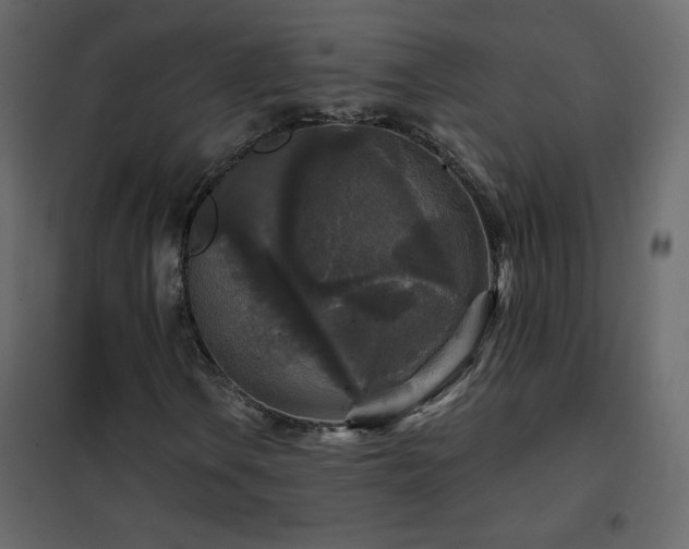 X0000102541106200808081514