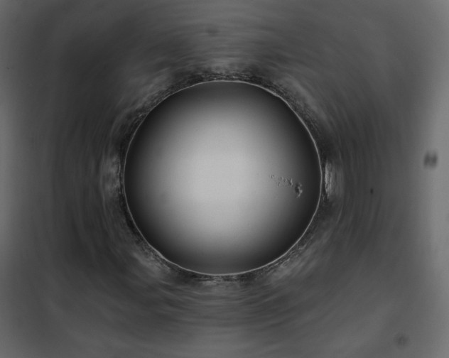 X0000102541107200808081514