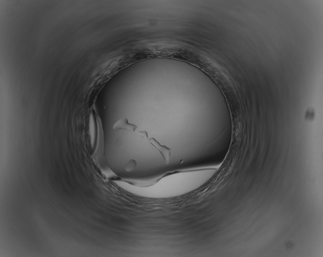 X0000102541108200808081514
