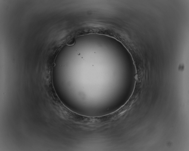 X0000102541109200808081515