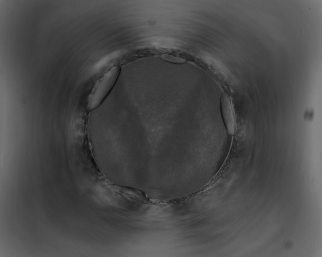 X0000102541110200808081515
