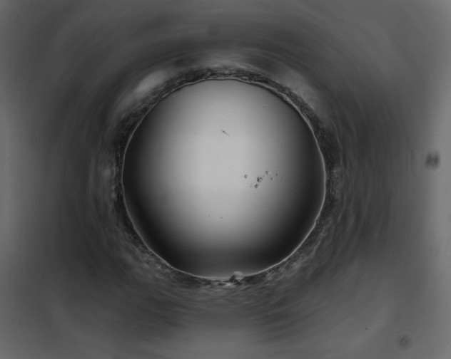 X0000102541111200808081515