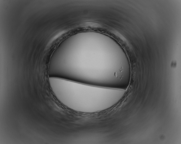 X0000102541112200808081515
