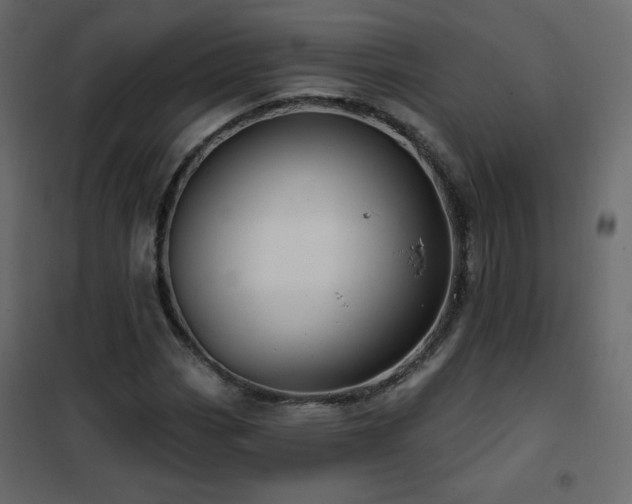 X0000102541113200808081515
