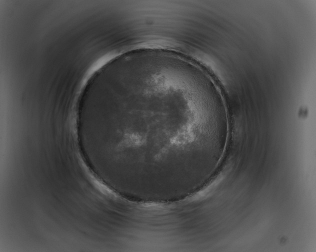 X0000102541114200808081515