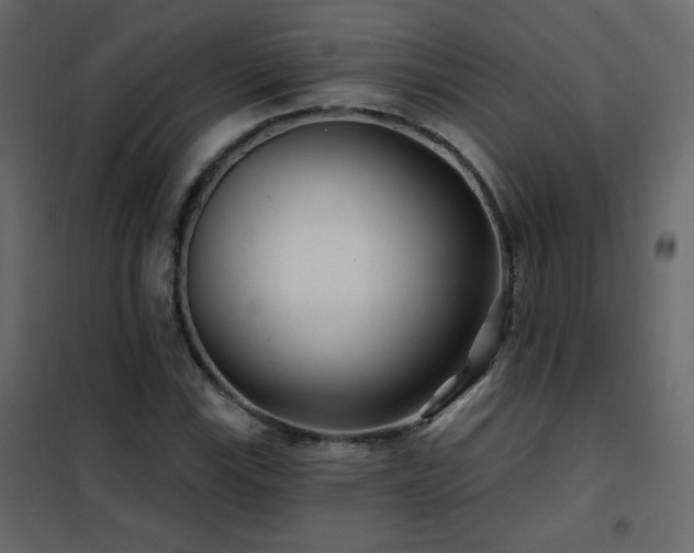 X0000102541115200808081515