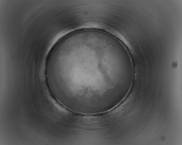 X0000102541116200808081515