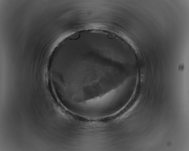 X0000102541117200808081515
