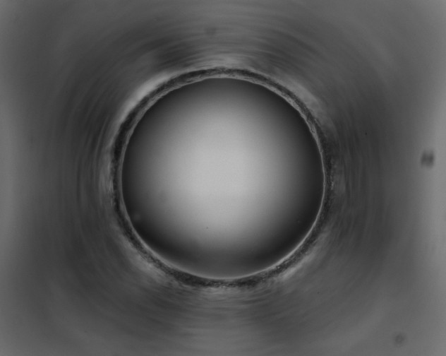 X0000102541118200808081515