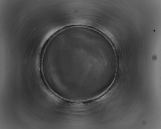 X0000102541120200808081515