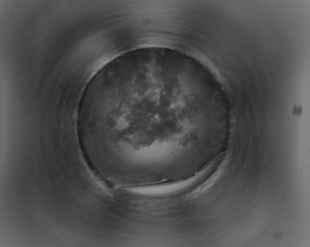 X0000102541121200808081515