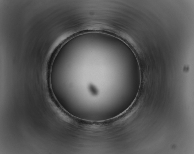X0000102541122200808081515