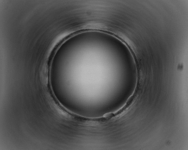 X0000102541123200808081515