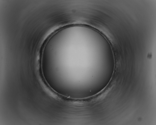 X0000102541126200808081515
