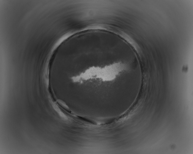 X0000102541127200808081515
