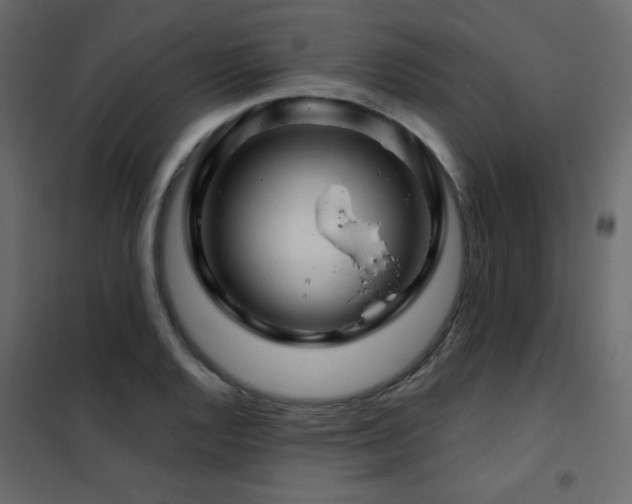 X0000102541128200808081515