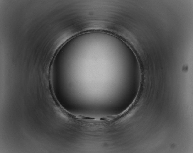 X0000102541129200808081515