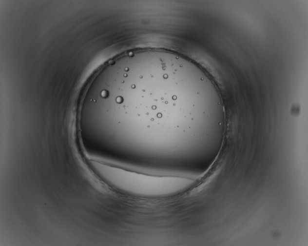 X0000102541130200808081515