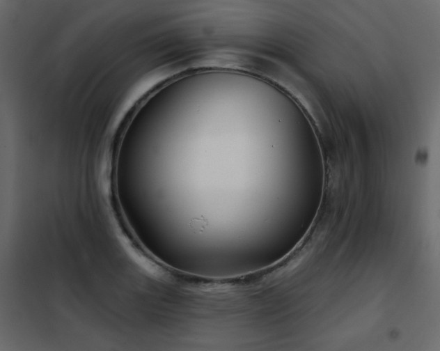 X0000102541131200808081515
