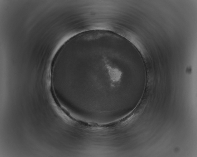 X0000102541132200808081515
