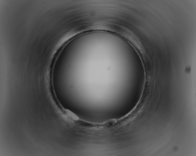 X0000102541133200808081515