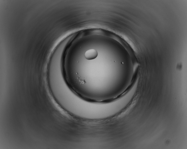 X0000102541134200808081515