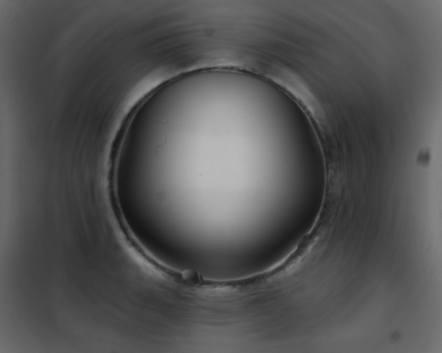 X0000102541135200808081515
