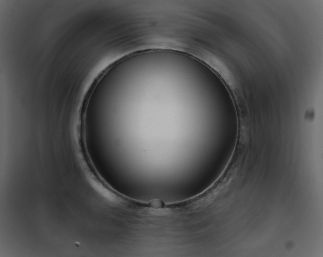 X0000102541136200808081515