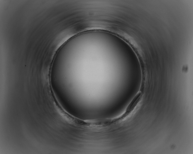 X0000102541137200808081515