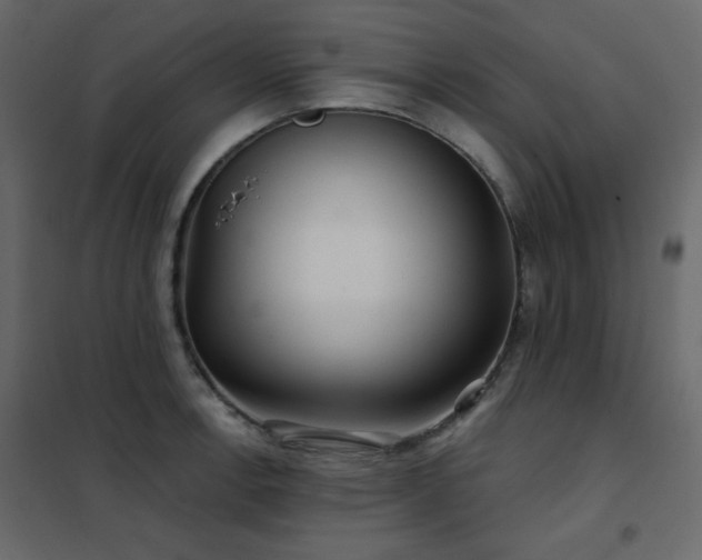 X0000102541138200808081515