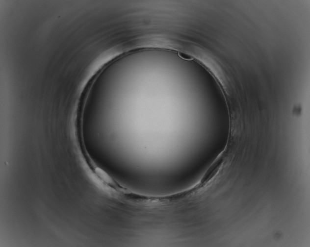X0000102541139200808081515
