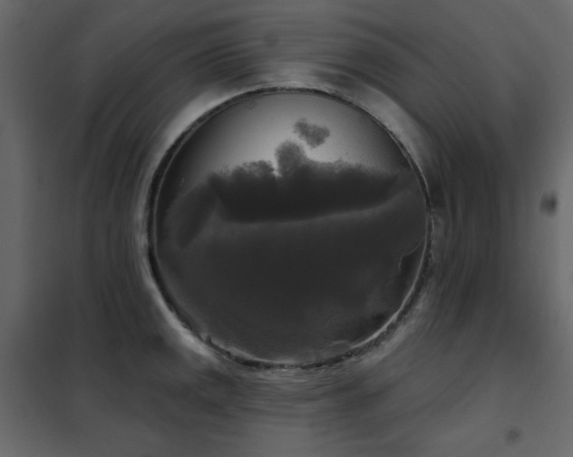 X0000102541141200808081515