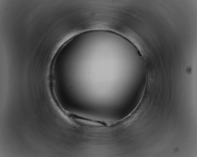 X0000102541142200808081515
