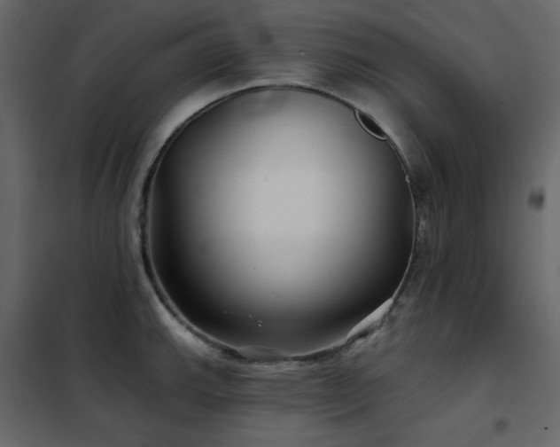 X0000102541143200808081515
