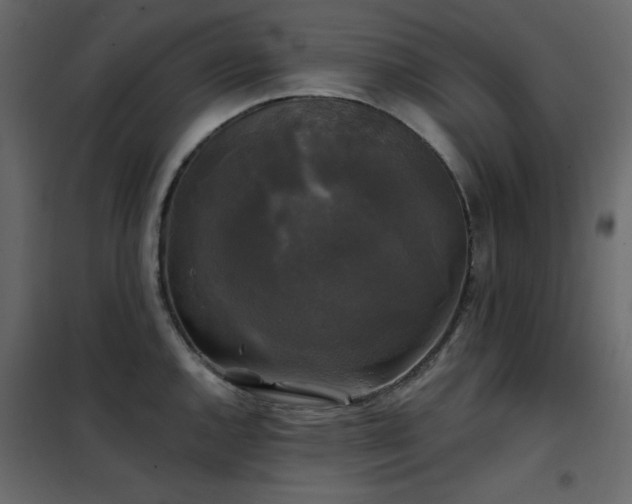 X0000102541144200808081515